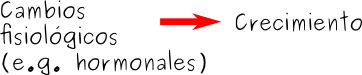 crecimiento3