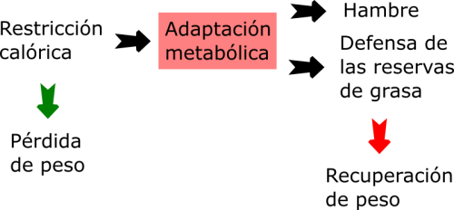 adaptacion