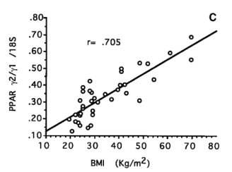 BMI